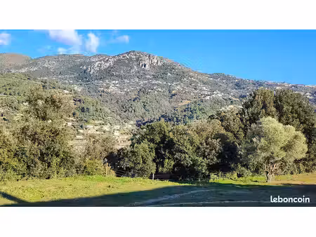 terrain 482 m² carros