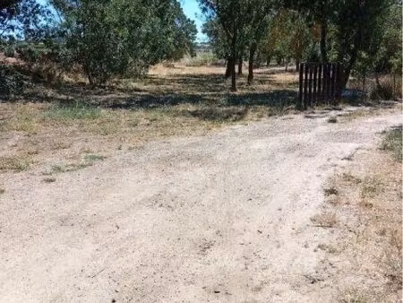 terrain de loisirs 3 270 m² – agde – eau par forage – calme et très ombragé