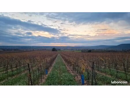vend 2ha20 de vignes