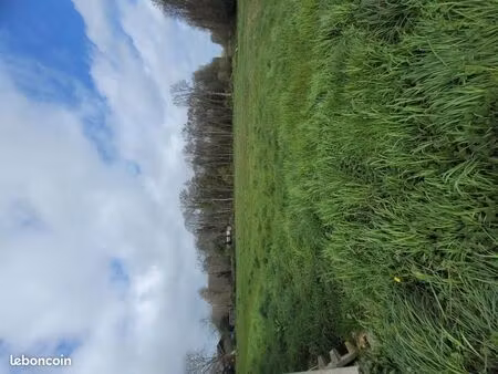 terrain 313 m² vitre