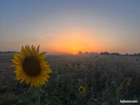 parcelle prairie