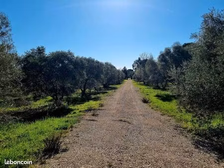 terrain 240 m² ceyras