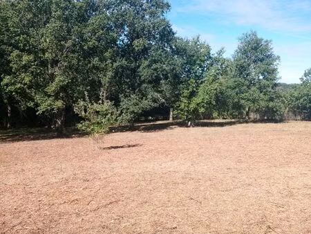 terrain constructible viabilisé – 3 817 m² – valençay (36)