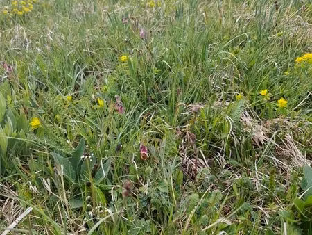 recherche terrain non constructible