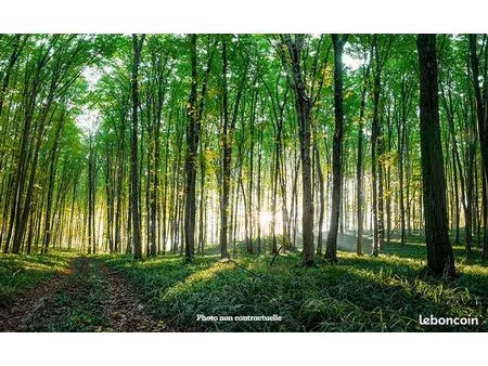 propriété forestière dans le jura d’environ 5 hectares df-2003-a