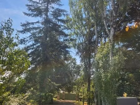 maison avec piscine cour cheverny