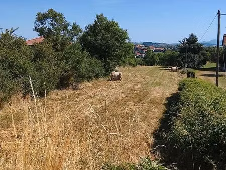 vends terrain à bâtir cussac sur loire