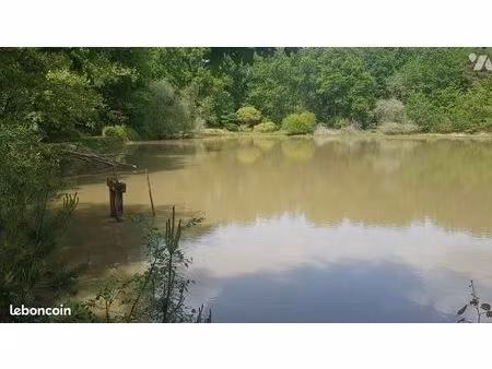 terrain 20335 m² langon