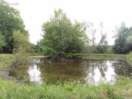 terrain 3320 m² riaille