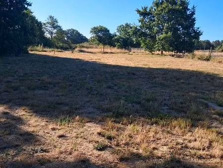terrain 1200 m2