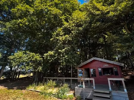 à vendre – fonds de commerce parc accrobranche tarz’aventure – les estables (43)