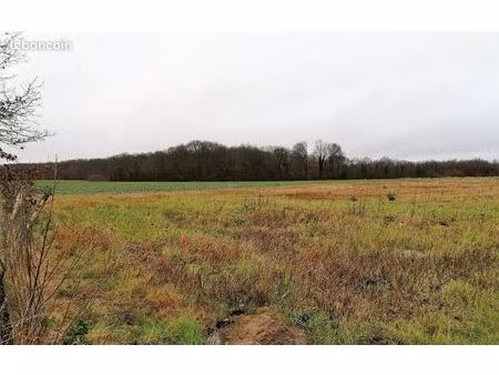 terrain 1 300 m² la selle sur le bied