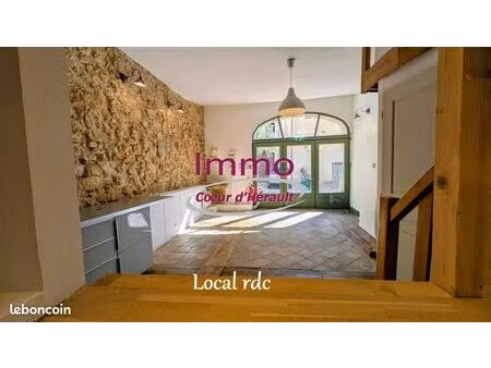 immeuble 179 m² gignac