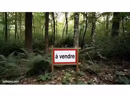 parcelle forestière