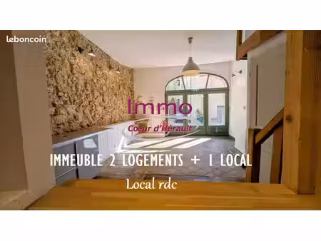 maison 7 pièces 179 m²