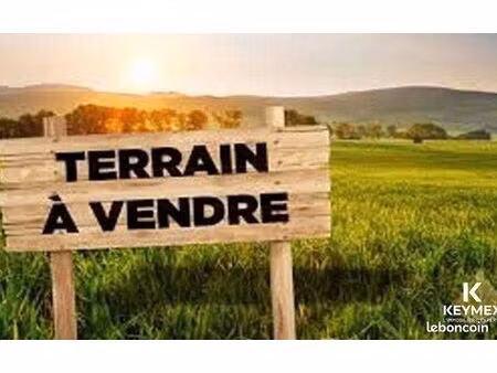 terrain constructible