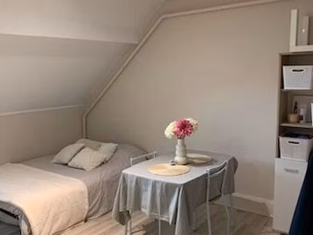 studio centre ville chaumont