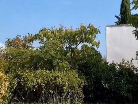 grande maison avec piscine st seriès