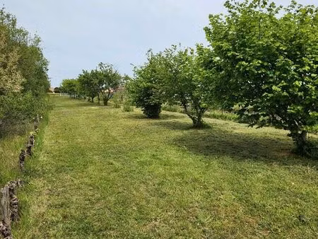 verger - terrain de loisirs non constructible