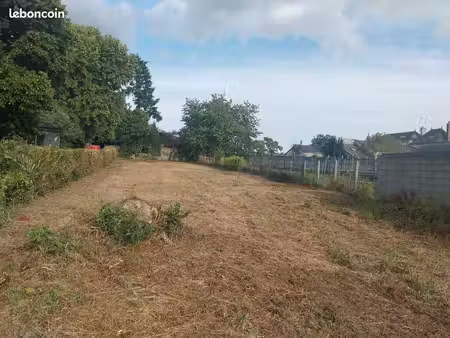 terrain constructible