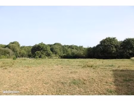 terrain constructible de 4 029 m² – castelnau-tursan