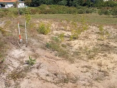 terrain constructible