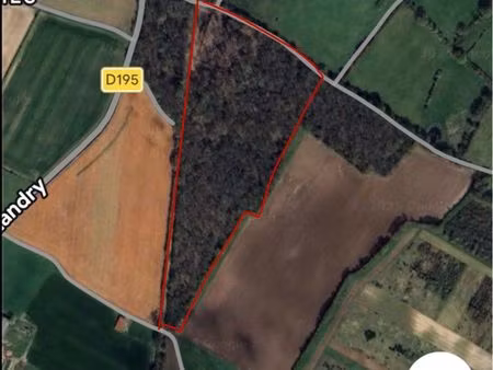 forêt baugé en anjou