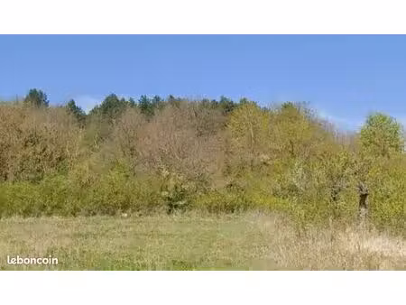 terrain boisé avec vue dégagée - 774m²