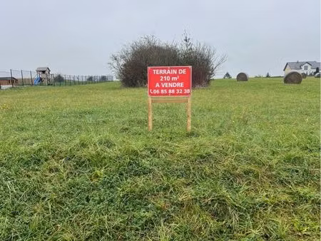 terrain constructible