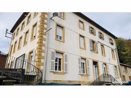 immeuble 330 m² val de briey