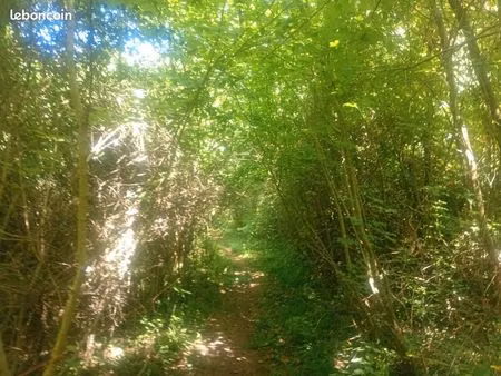 à vendre parcelle forestière boisé dans l'oise