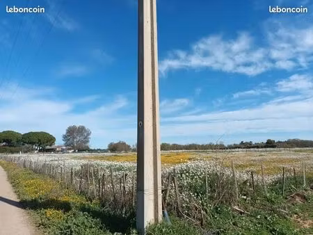 terrains agricoles  cloturé  eau forage  prox village