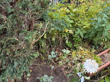 recherche petit terrain agricole / loisir