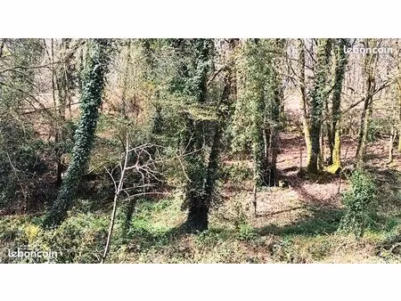 terre agricole boisé