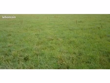 terrain 1 211 m² saint patrice du desert