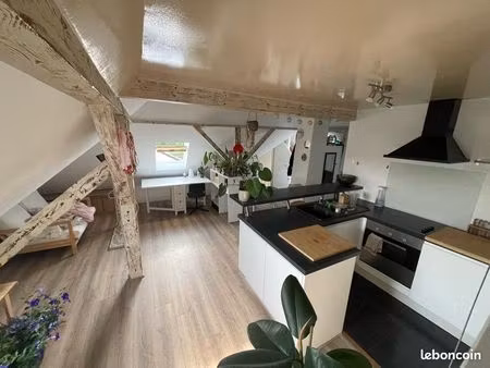 studio 58m2 au sol + jardin