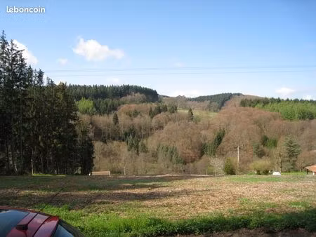 terrain 2600 m² viabilise celles sur durolle 63250