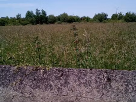 terrain constructible