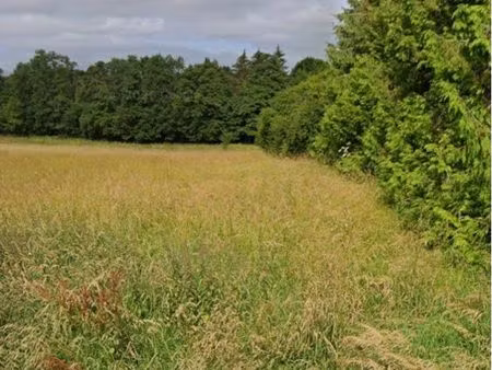 ? terrain 12035m² – idéal chevaux – accès route – bailleul (61160)