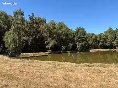étang sur terrain 10000m2