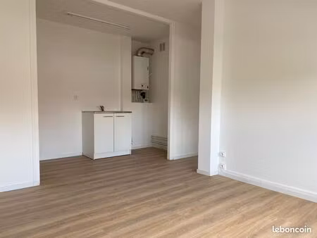 appartement loos lumineux