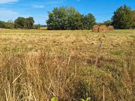 cherche terrain agricole