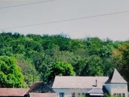 rare ensemble immobilier avec terres et bois