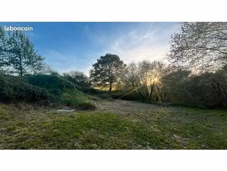 vends terrain viabilisé pour construire votre future maison