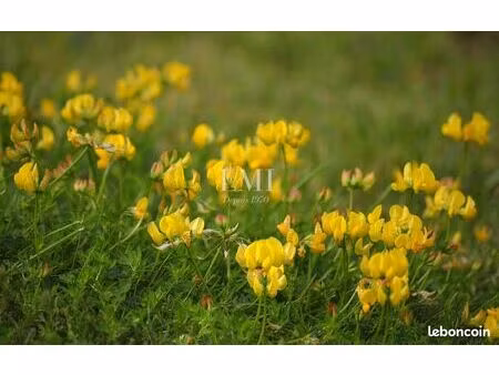 terrain 419 m² hennebont