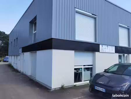 local commercial