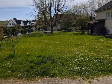 terrain de 6.50 ares