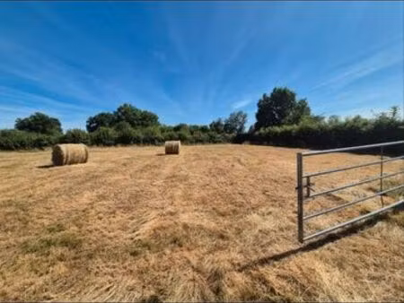 terrain agricole