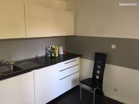 spacieux appartement lumineux