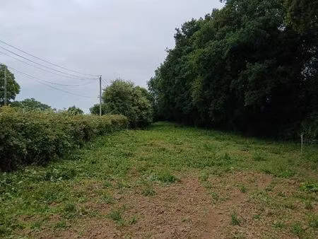 terrain de loisirs